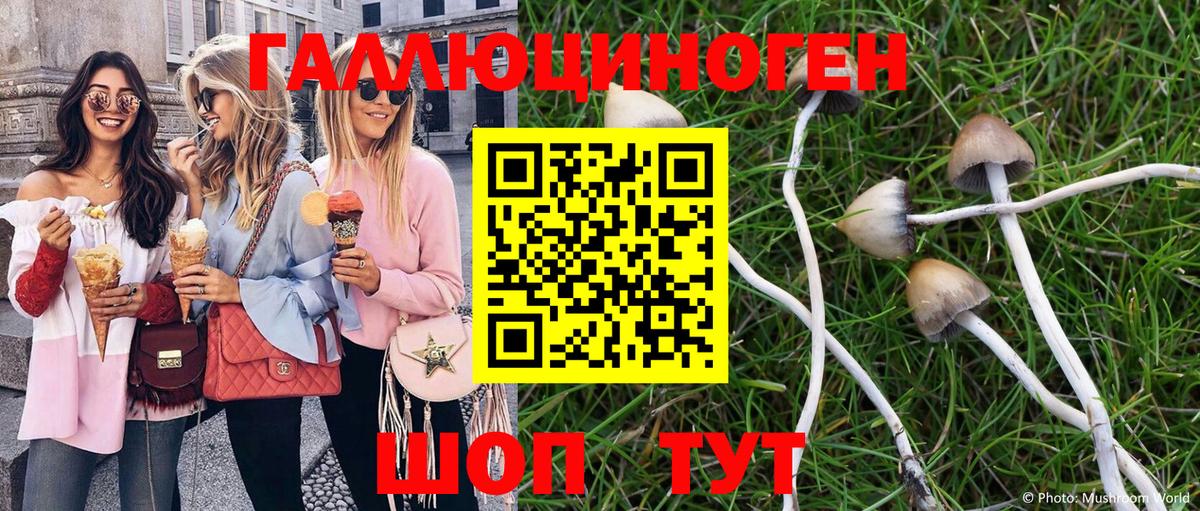 Галлюциногенные грибы Psilocybe  Вход с VPN  Кириши 